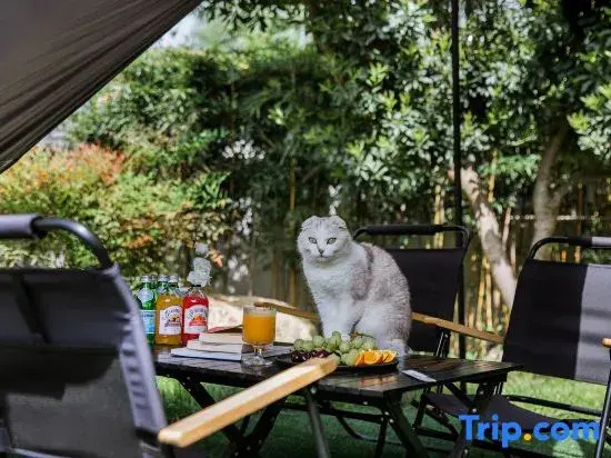 Jiacao Courtyard Guesthouse