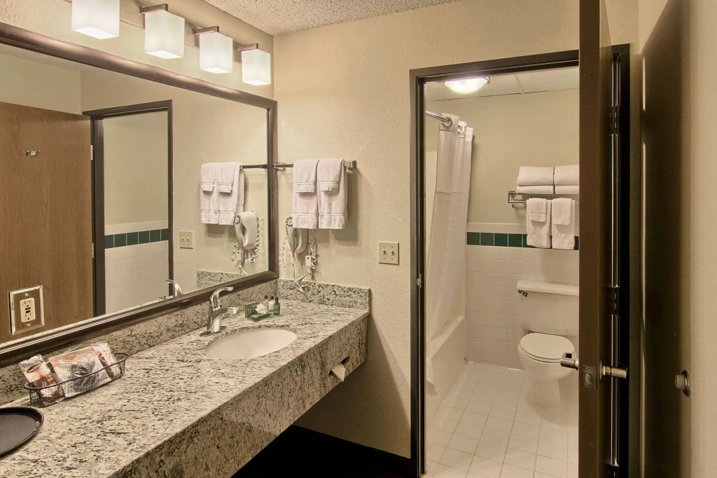 Blossom Hotel & Suites Traverse City