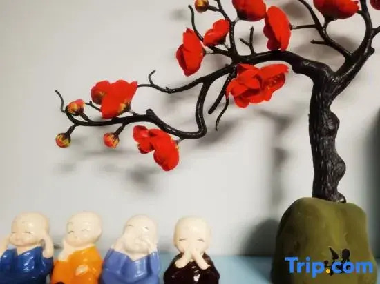 Yunduo Homestay (Dounan Flower Market)