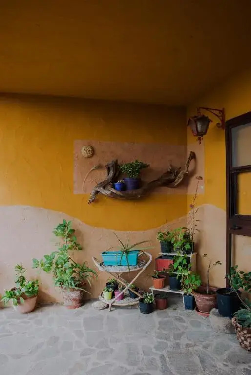 Terra e Paglia