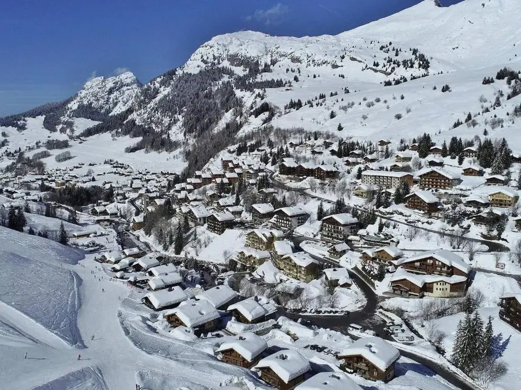 Appartement Le Grand-Bornand, 3 pièces, 8 personnes - FR-1-391-123