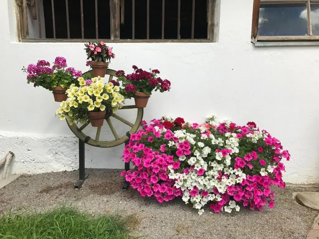 Bleierhof Apartment