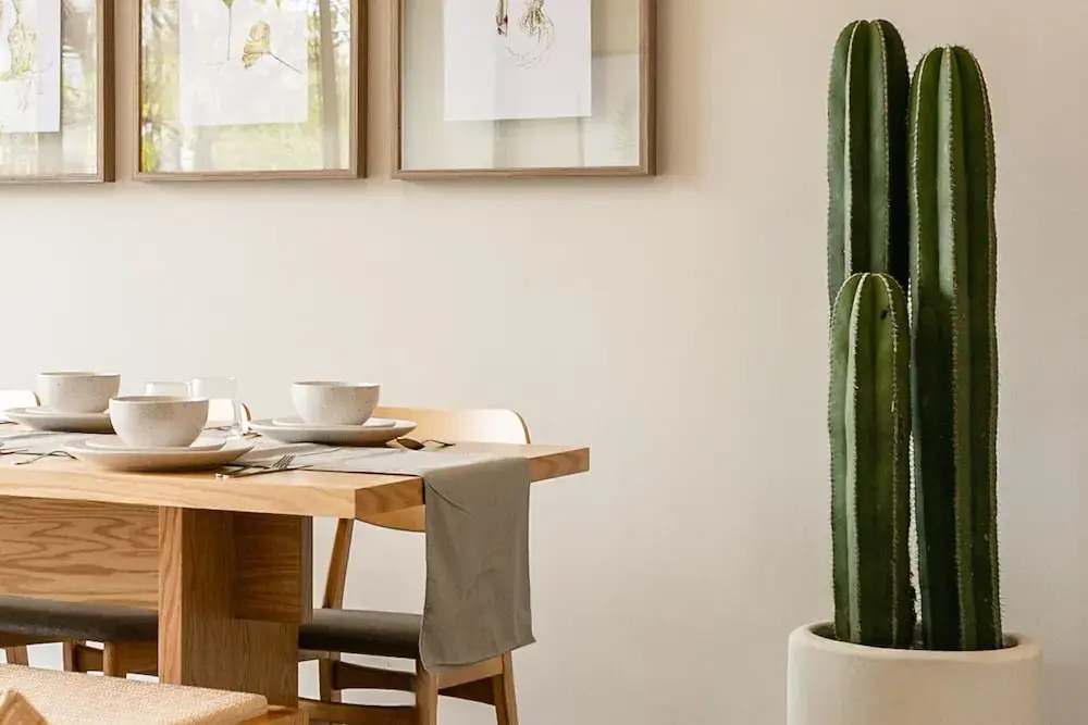 Charming 3Br 2Ba Apt In Roma Norte