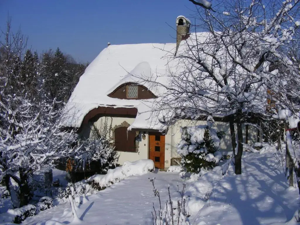 Panka House