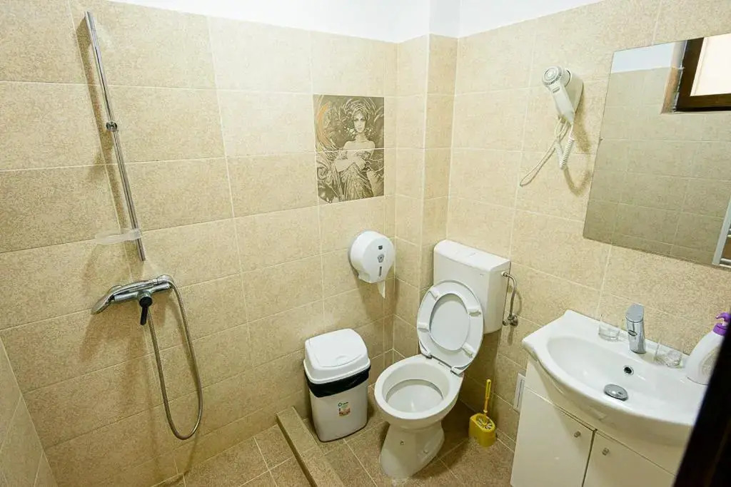 Casa Domneasca Riana