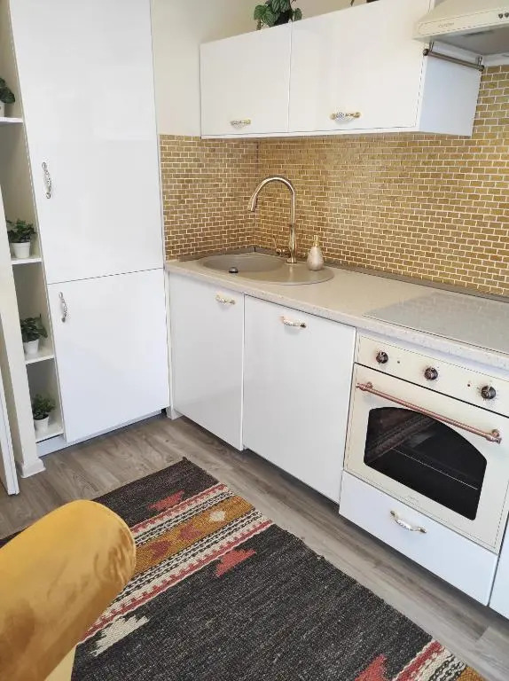 Appartements F3 Design Colmar+Parking Free
