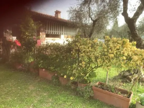 Una Casa tra gli Olivi