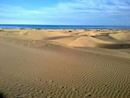 Aloe Apt. Close To Yumbo Beaches Dunas Maspalomas
