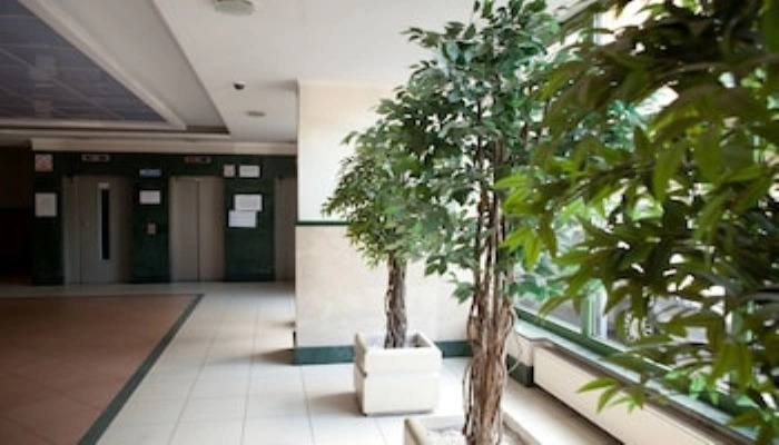 Studio Grzybowska