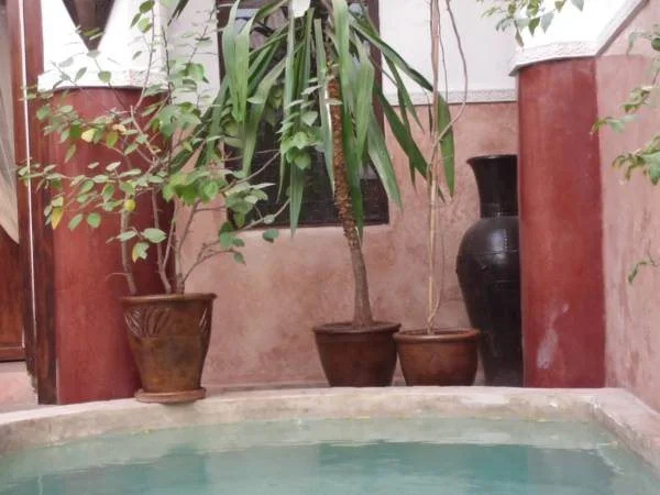 Ryad Dar Ganou