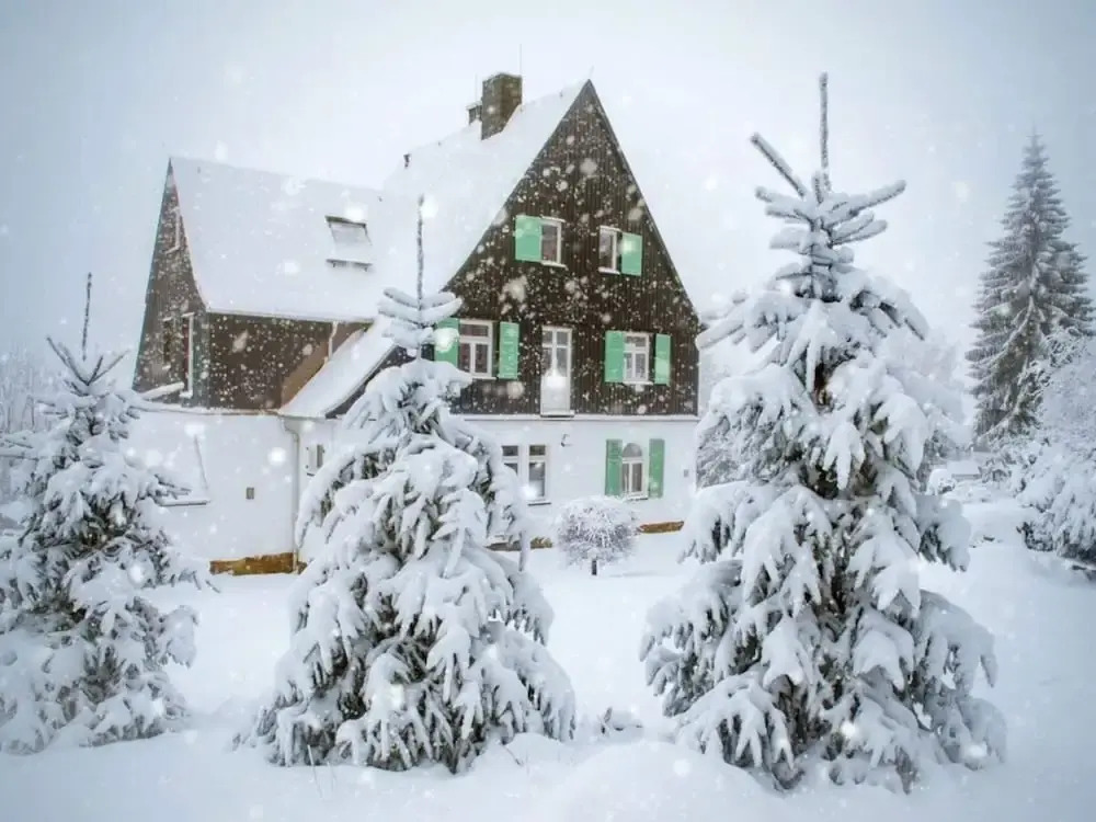 Holiday Apartment Waldfrieden