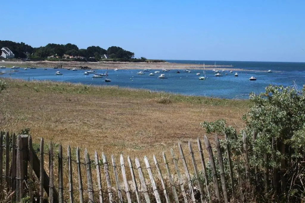 La Marinière