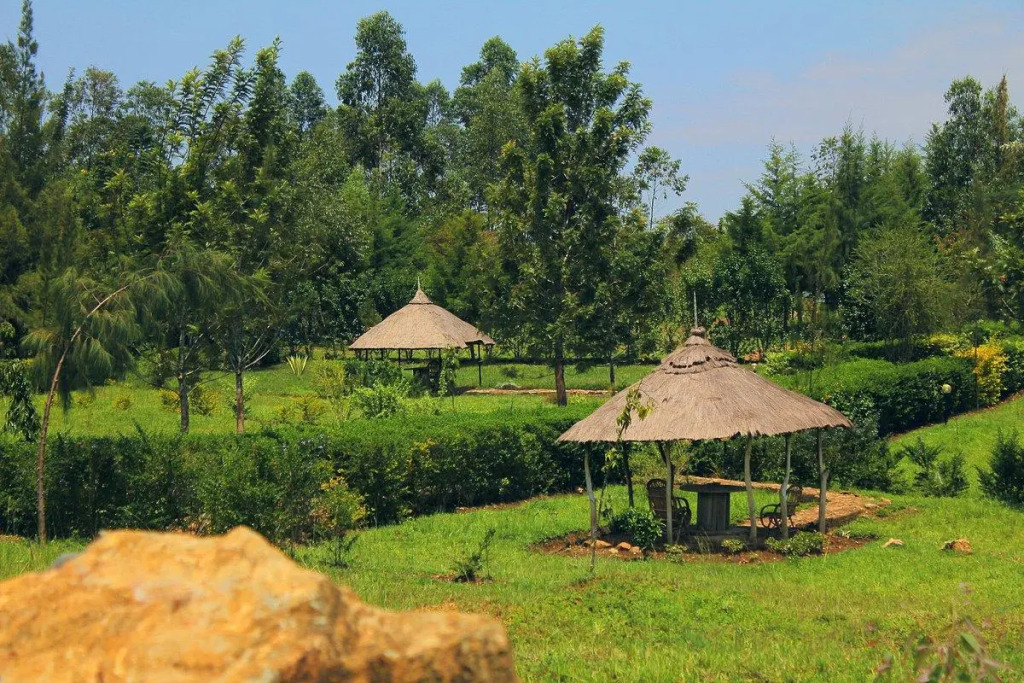 Nguge Hills Lodge & Wellness Retreat