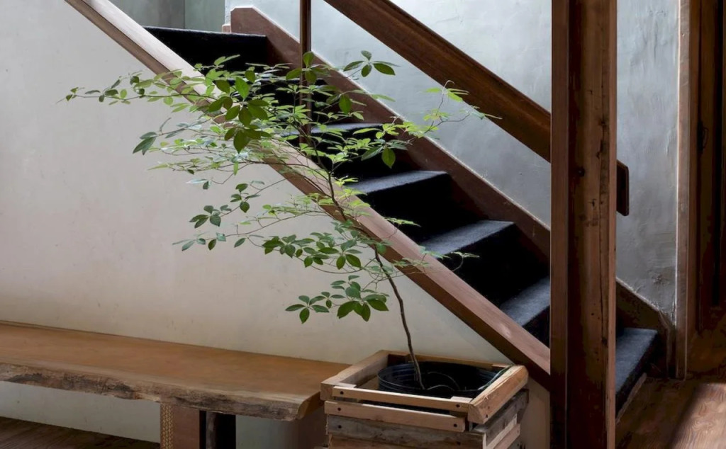 Irori Guest House Tenmaku