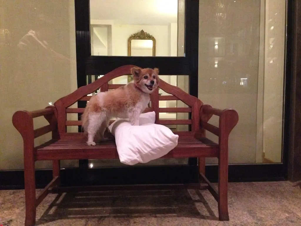 Hotel Bracciotti