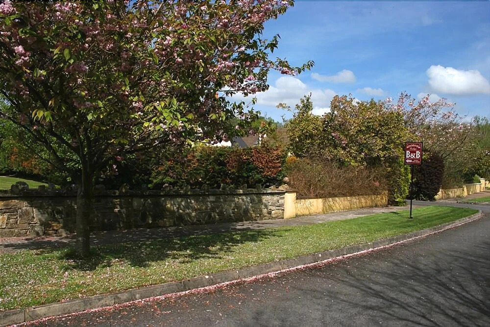 Woodview Lodge B&B