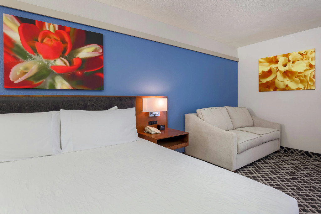Hilton Garden Inn Dallas/Market Center