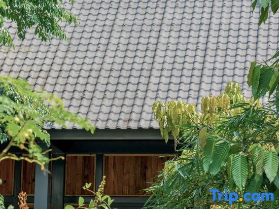 Xishuangbanna Jinghong Lansha Waiyuan Forest Hot Spring Holiday Manor