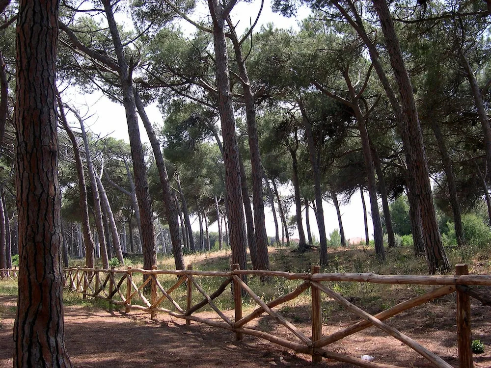 Casa Vacanze Cecina