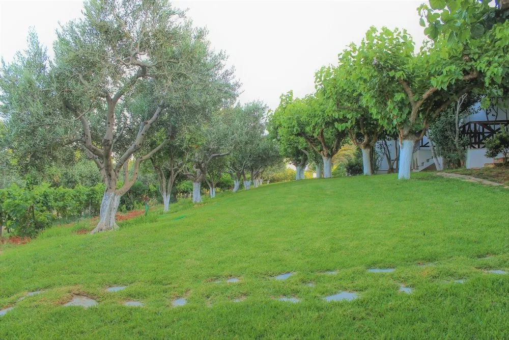Villa Sofia