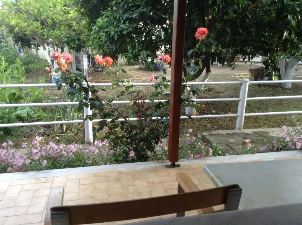 Studios LaLu