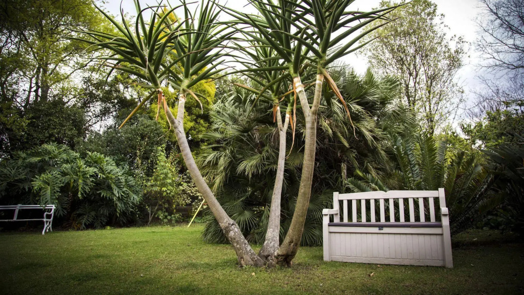 Sunbird Guest House
