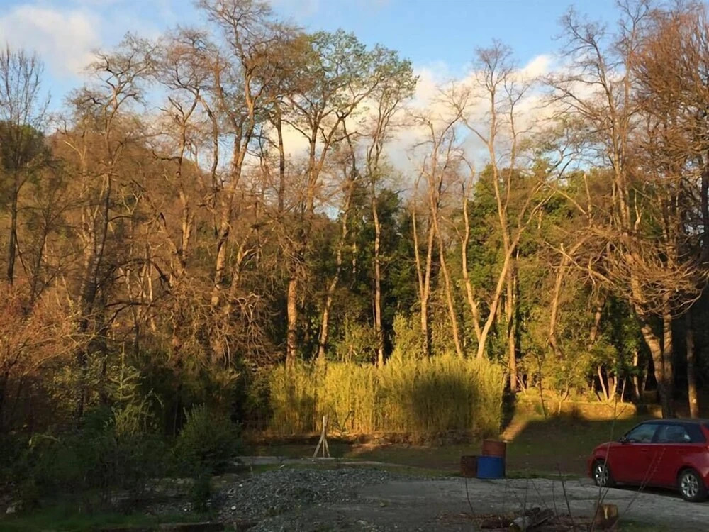 Bosque Los Lleuques Cabaña & Spa