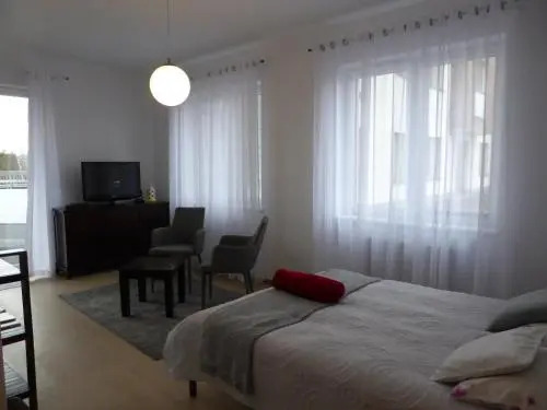 Zielone Studio
