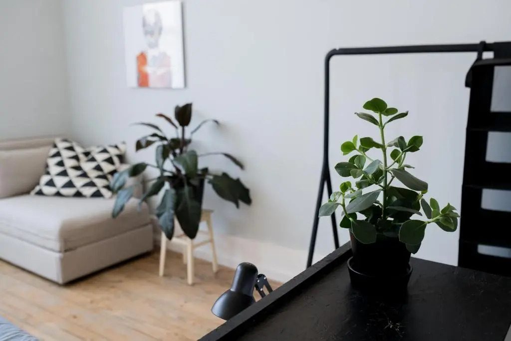 Baixa24 •P2R• Bright Apt in Vibrant Downtown