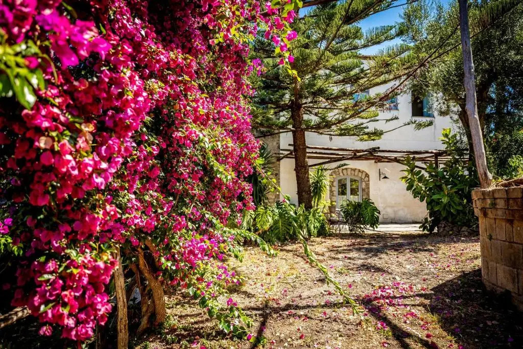Villa Puolo - Sorrento