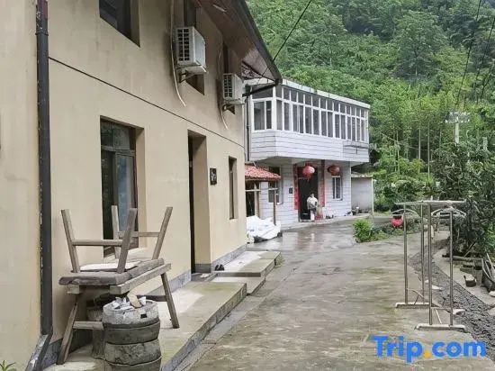 Tonglu Qingxin Youshe Homestay