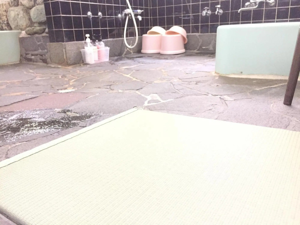 Dotenobo Ryokan
