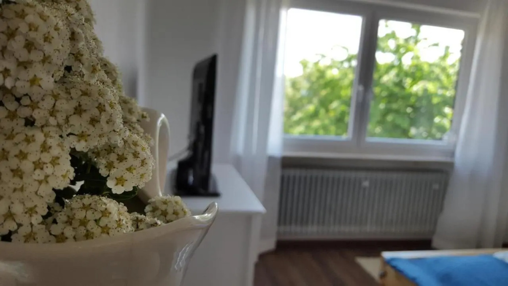 Ferienwohnung & Gästezimmer Rixner