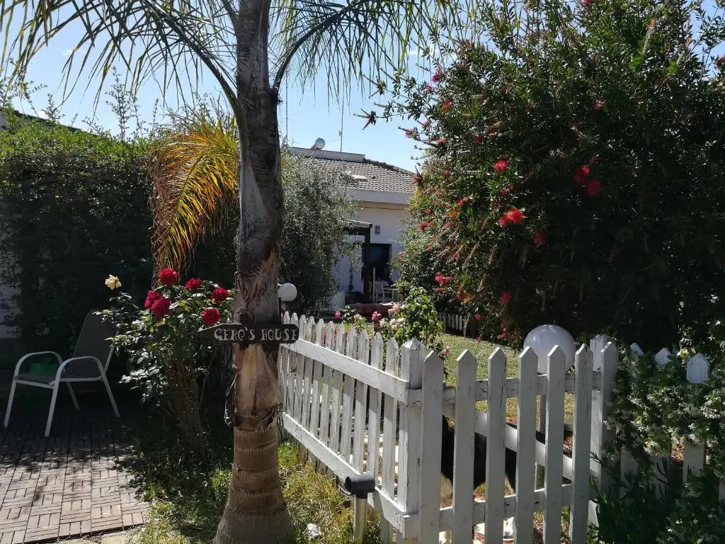 Gekos House