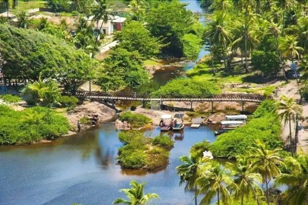 Solaris Village