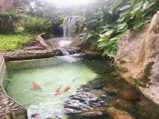 Wandu Hotel