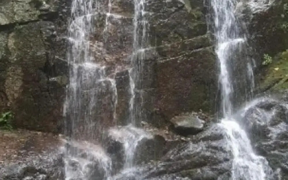 Cheongdo Persimmon Ville Pension(청도감마을펜션)