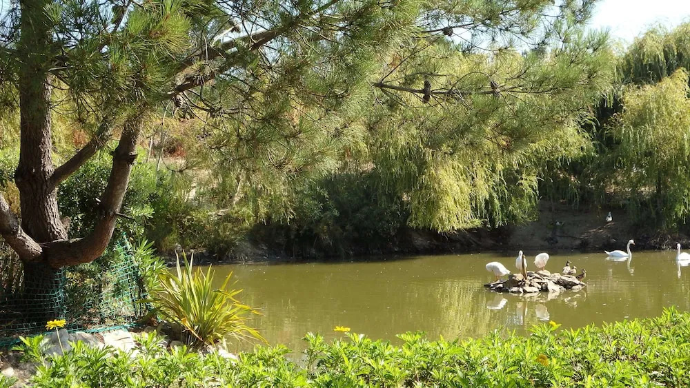 Jardins da Ria