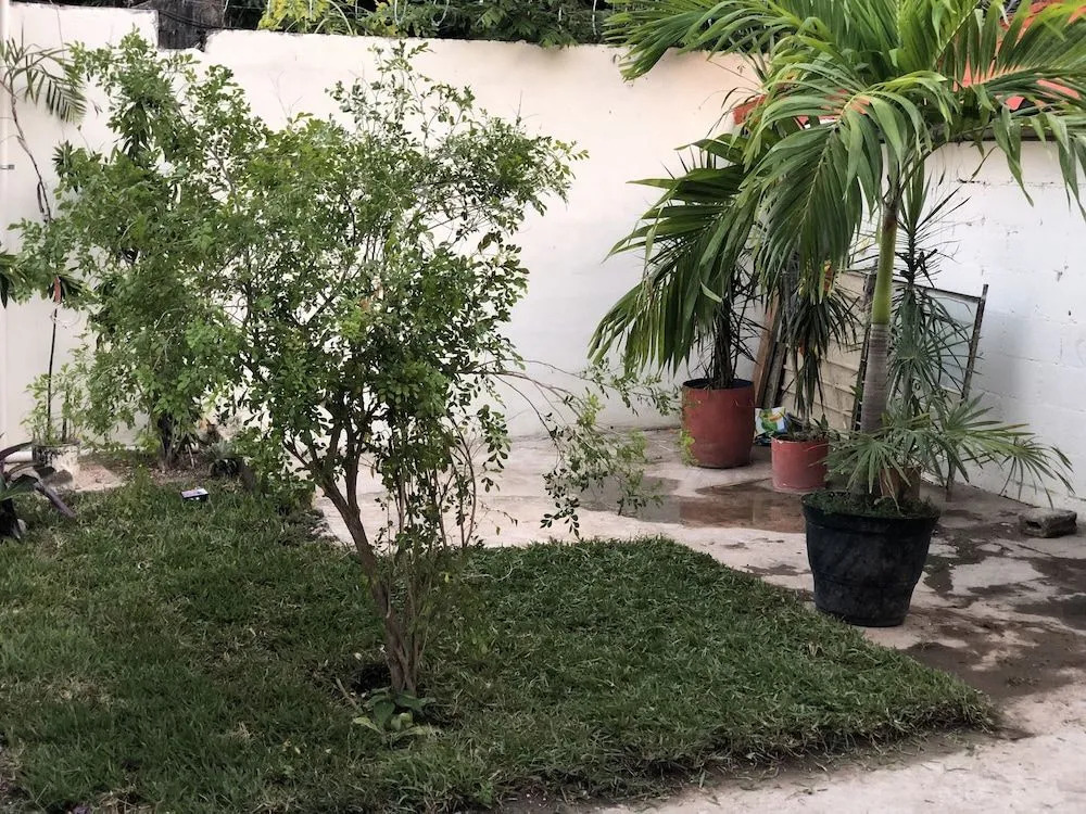 Playa Del Carmen - Beautiful Studio 2
