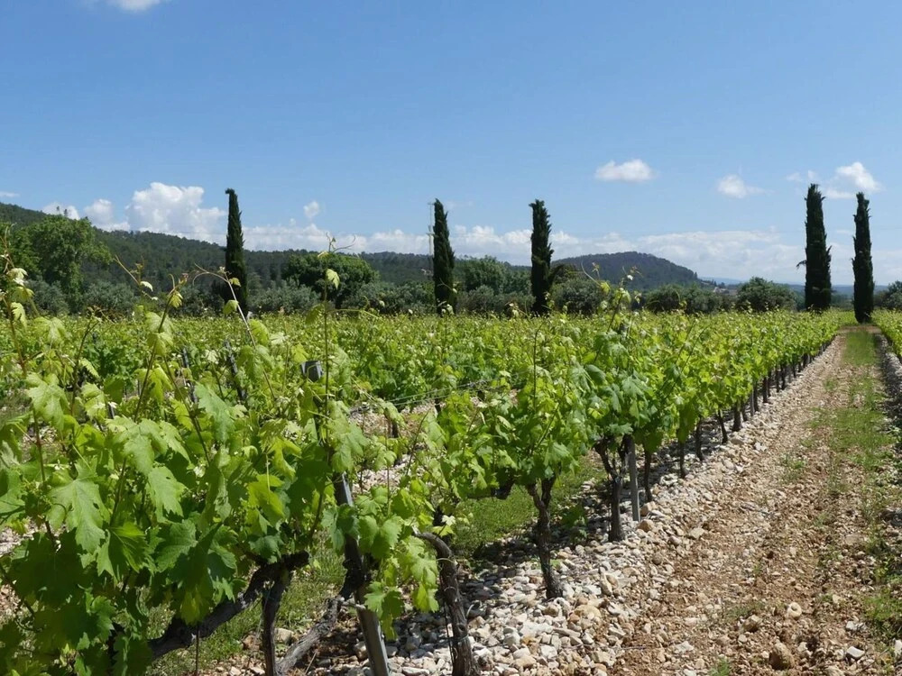 Charming Holiday Home in Correns France With Garden