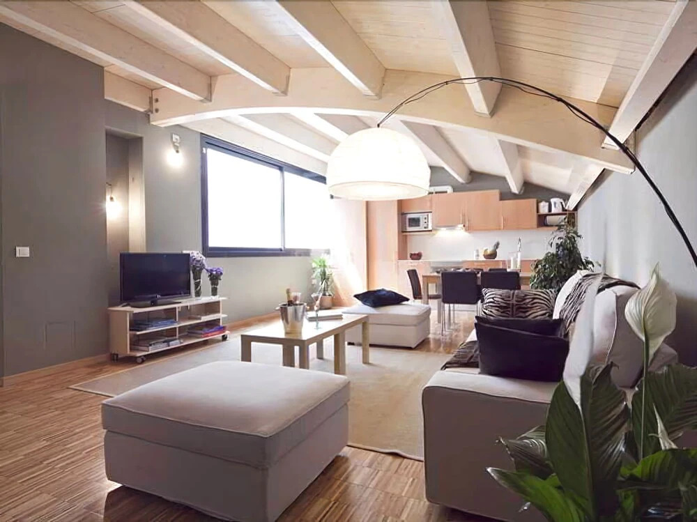 Executive Attic 3