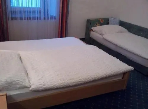 Hotel zum goldenen Hirschen