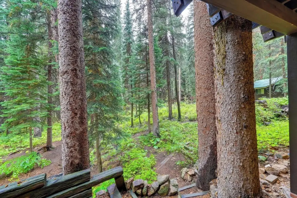 Mid-century Cabin: Creekside, Easy Access to I-70