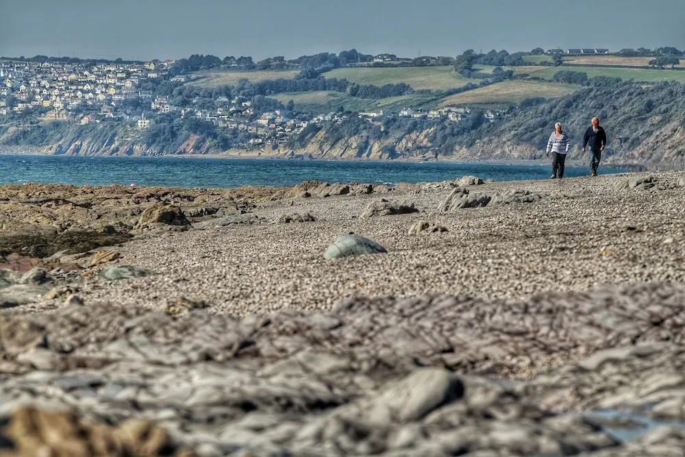 Looe Island View
