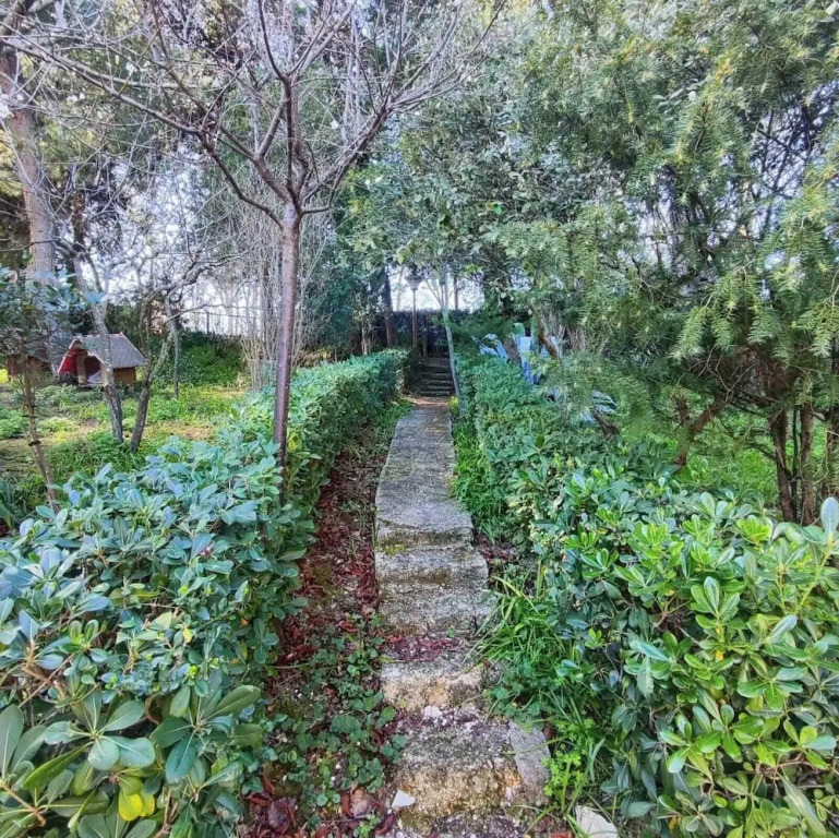 Rickymary House, Pet Friendly