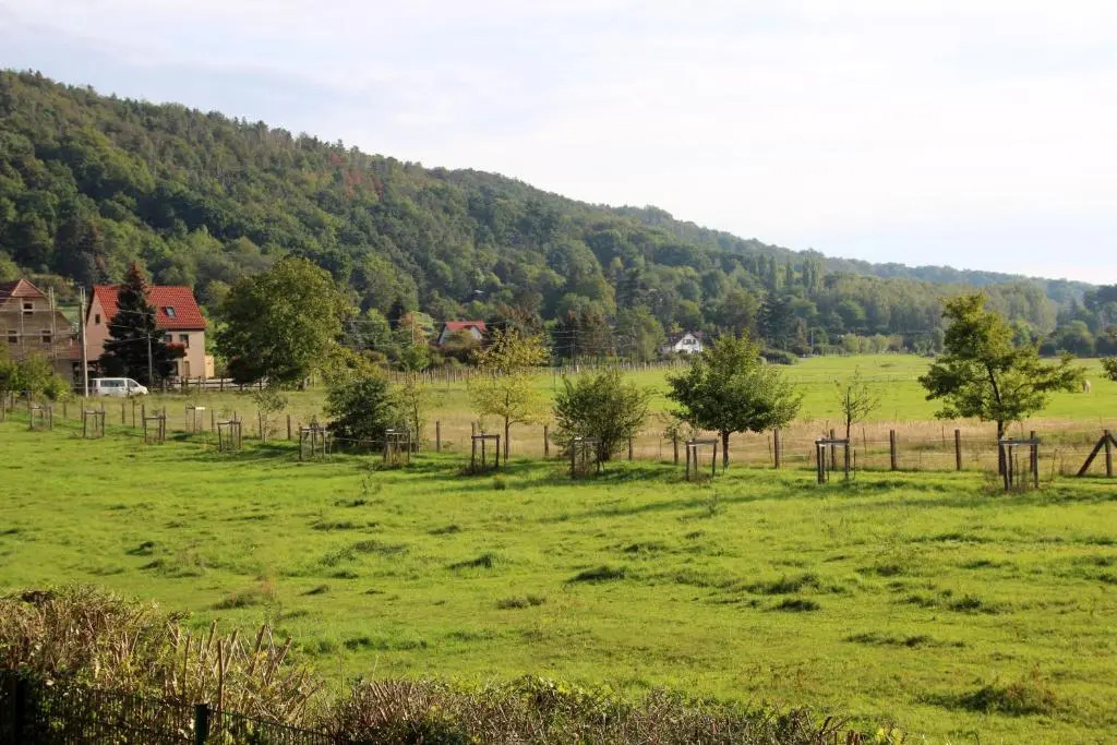 Ferienwohnung Dresden Pillnitz am Weinberg