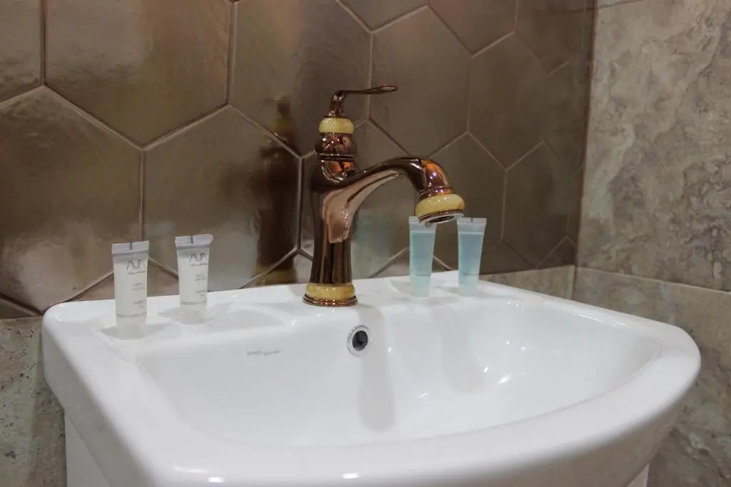 Borjomi Classic Hotel