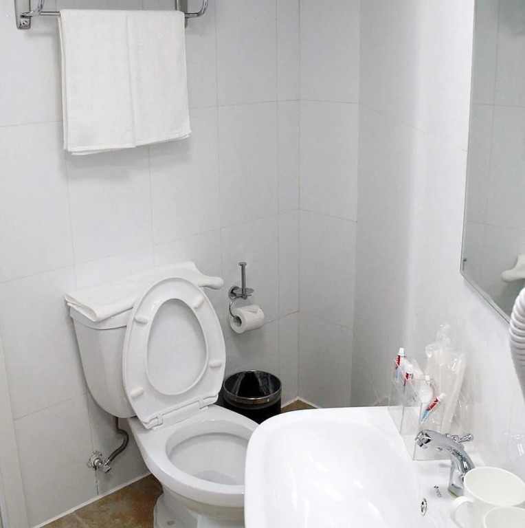 Beijing Yuelaiqingxing Hotel