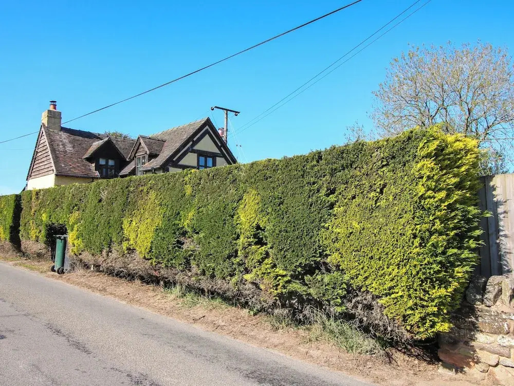 Clandyke Cottage