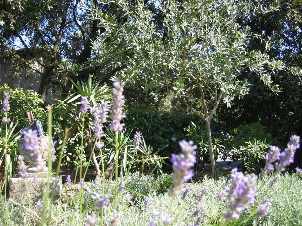 Le Petit Manoir Hotel Provence